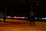 Cavalry - 00038